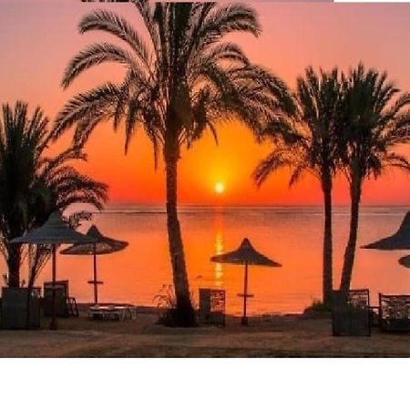 Domina Coral Bay Sea View Studio Sharm El Sheikh المظهر الخارجي الصورة